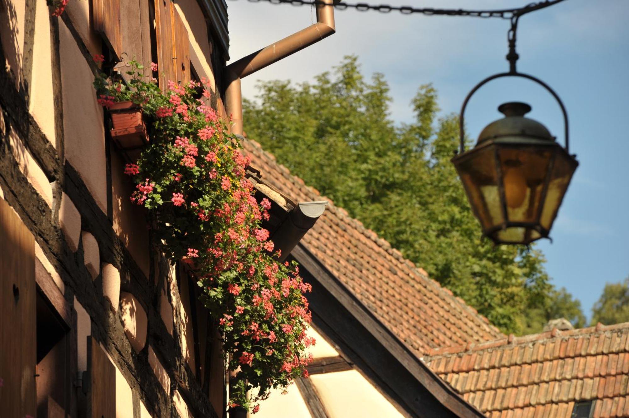 Logis Hotel Restaurant De La Poste Et Spa De Montagne 르본옴므 외부 사진